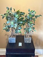 Two artificial plants side-by-side on a black stand against a beige wall, showing front view