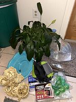 Overall assortment showing plant, watering globes, knee pads, mini heater, solar lights, blue kneeling pad, and decorative planter.