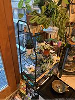 Black metal plant stand loaded with assorted potted plants on three wire mesh shelves, placed indoors near a door with glass panes.