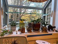 Wide shot of a windowsill with multiple small plants and decorative items in pots and ceramic containers. Various plant types and sizes are shown with natural light from outdoor window.