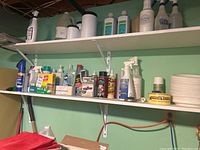 Shelf with assorted cleaning supplies including sprays, boxes, bottles, and paper plates.