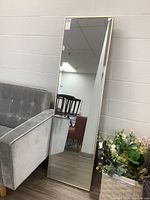 Full view of the standing mirror showing its height and reflective surface, positioned next to furniture and plants.