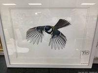 Full view of framed photo print showing bird with wings fully extended in flight.