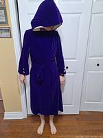 Model wearing deep purple crushed velvet hooded dress with long sleeves, belt, and tan lining visible inside hood and sleeve cuffs