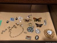 Overview photo of full collection with earrings, brooches, cuff links, chain and other pieces on plain cardboard background