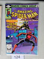 Front cover of The Amazing Spider-Man #227 comic book showing Spider-Man and Black Cat against a city rooftop background.