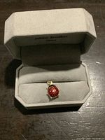 Ladybug pendant displayed inside an open grey jewelry box labeled Jubilee Jewellers Ottawa.