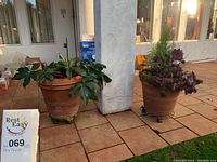 Two terracotta pots with different plants on wheeled stands outdoors on tiled patio, side view with pillar between them.