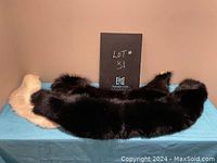 Three fur collars placed on a blue cloth surface with a black sign indicating lot number 31.