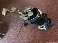 Overview of stand bag and inserted clubs on carpet