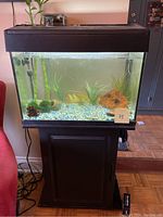 Photo showing 10 gallon aquarium filled with water, decorative aquatic plants, substrate gravel, and moss balls, sitting on a black wooden cabinet stand.