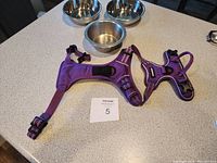 Three small stainless steel dog bowls arranged on a countertop with one purple dog harness laid out showing adjustable straps and buckles.