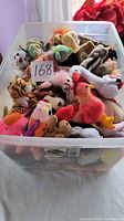 Top view of large plastic tote filled with multiple assorted Beanie Babies plush toys in different animal forms and colors