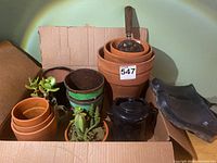 Multiple pots including terracotta, green bamboo design pots, vintage black rooster coffee pot repurposed as planter, succulents, rusty spade and a pair of black garden shoes in a box.