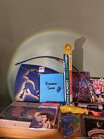 View of the lot showing the wooden bow and arrow, medieval style shield with blue dragon, Redwood Songs book, Rapunzel's Revenge book, and the Redwood growth chart wrapped in plastic with an orange animal figure topper.