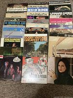 Photo of 34 vinyl LP records spread out showing a variety of artist cover designs and titles.