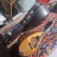 A-style mandolin and black hardshell case on patterned rug