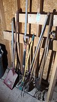 Photo shows multiple yard tools including shovels, rakes, pitchforks, and hoes stored against wood panel wall inside outdoor shed.