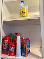 Top shelf inside cupboard with various laundry detergents including Resolve stain remover, yellow bleach, and other cleaning liquids
