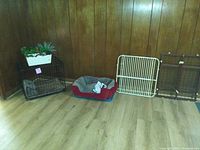 Photo showing a small black metal wire pet crate, a red and gray cushioned pet bed, a white metal wire panel, and a brown metal wire panel arranged against wood-paneled walls.
