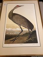 Full view of the framed print depicting a Sandhill Crane standing in profile with a natural landscape background including water and other cranes.