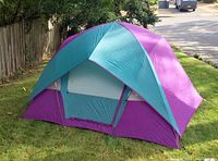 Fully assembled Spalding dome tent in purple and teal colors set up on grass outdoors.