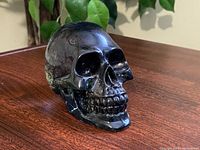 Front angle view of the glossy translucent black resin skull showing detailed anatomical features and marbling.