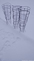 Four black metal tomato cages standing upright on snow-covered ground showing overall shape and details of structure.