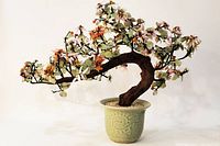 Full view of the bonsai tree showing overall shape, colors, and celadon pot.