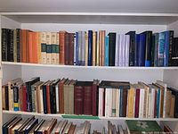 Wide shot of two full shelves with assorted books