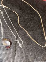 Two necklaces displayed on dark fabric background, showing Anne Klein pendant and thin herringbone chain necklace.