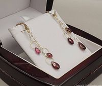 Photo of 10K gold dangle earrings with water-drop garnets displayed in original box with white cushioned insert and dark wood exterior.