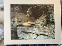 The print artwork shows a bear resting on rocky terrain with grass details, signed by Robert Bateman and bordered in white matte.