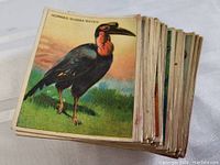Stack of vintage Harry Horne animal trading cards with the top card showing a horned guinea raven illustration. The cards show moderate wear and age-related discoloration.