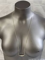 Front view of the sterling silver necklace on a display bust showing the full length and pendant details.