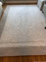 Full view of the neutral beige high pile area rug on hardwood floor, showing overall condition and pattern