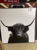 Full front view of the bull canvas print showing the entire animal with large horns and shaggy hair.