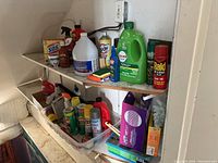 Wide view of various cleaning and pest control products arranged on shelves including Cascade detergent, Easy-Off oven cleaner, Raid insecticide, sponges, and other sprays and bottles.