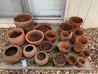 Overview of all terra cotta pots in various sizes and shapes, some with saucers, arranged on concrete slab outdoors with leaves around.