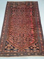 Full view of rug showing central field, border and overall pattern