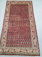 Full view of entire rug showing overall paisley field and border