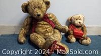 Photo of two teddy bears: a large Steiff 100th Anniversary Special Edition bear and a smaller teddy bear in red outfit holding a heart.
