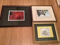Three framed fruit-inspired artworks arranged on the floor: two photos and one pencil sketch.
