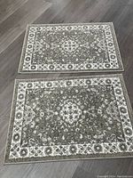 Two matching rectangular area rugs placed on a wood floor showing the floral and geometric bordered design in neutral hues.