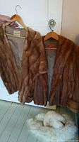 Both mink jacket and mink stole hanging on hangers against white door