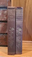 Two brown hardcover books from 'The Works of Rudyard Kipling' series placed side by side showing spines with gold embossed floral design and title text.