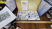 Boxed collection of 75 rocks and minerals displayed in compartments with a study guide booklet and a ruler for scale.