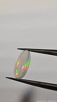 Oval cabochon Ethiopian opal held in tweezers showing vibrant rainbow flashes with translucent white base.