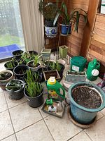 Wide view showing multiple garden pots (plastic and ceramic), metal plant stands, green watering can, and gardening supplies arranged on tile floor near window.
