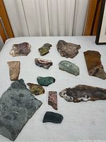 Overview of all 13 thinly cut stone and rock specimens laid out on white surface.